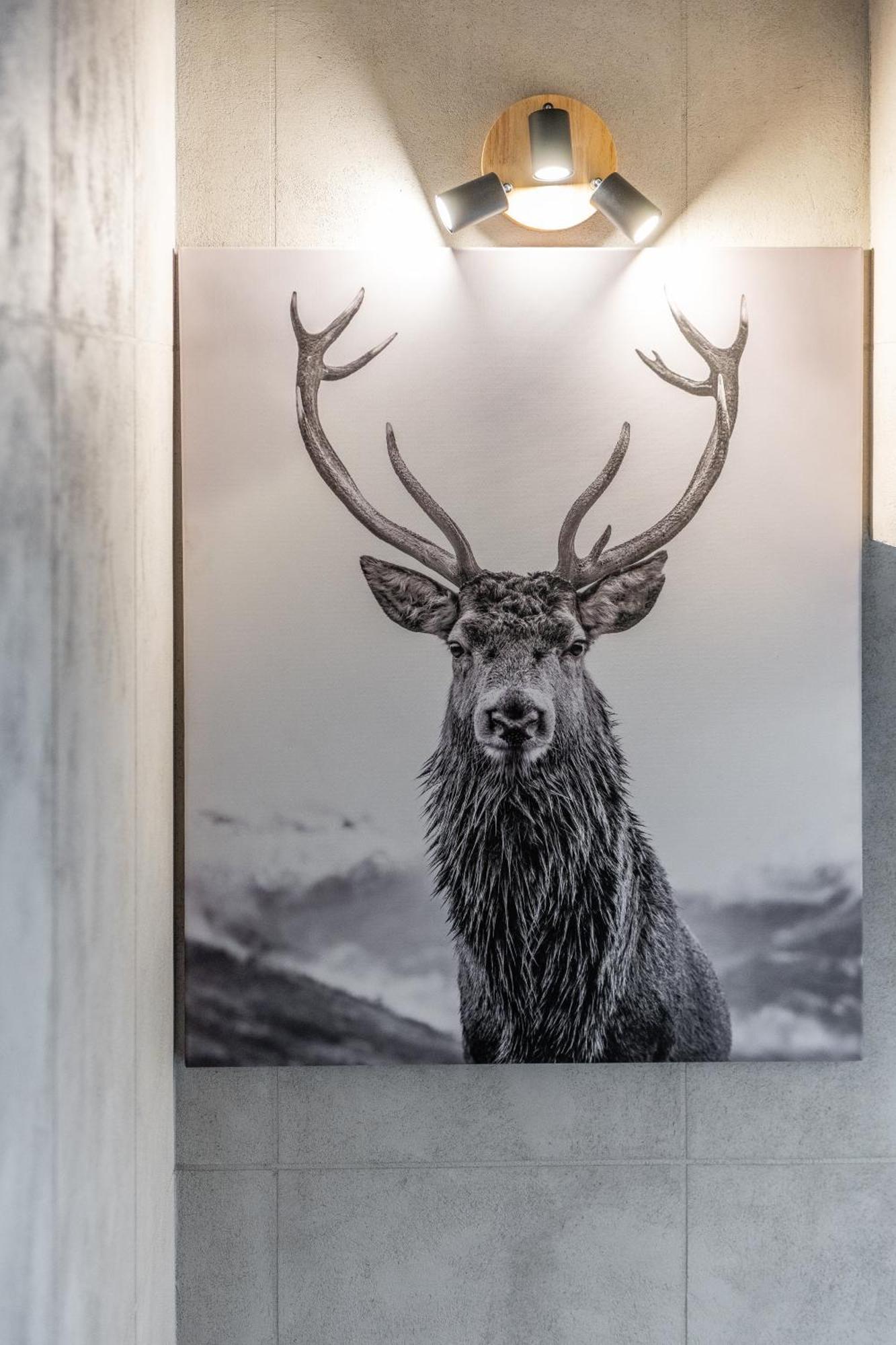 Chata Herkulesa Zakopane Exteriér fotografie